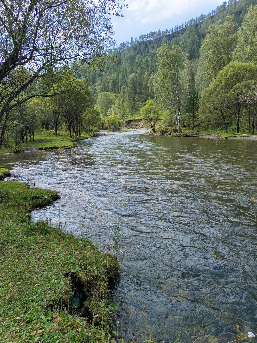 Фото автора.