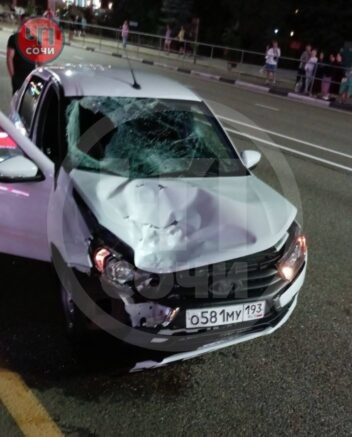    Фото: t.me/chp_sochi