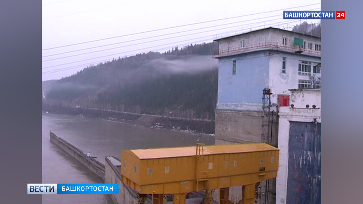    В Башкортостане в Павловское водохранилище выпустили около 30 тысяч мальков стерляди