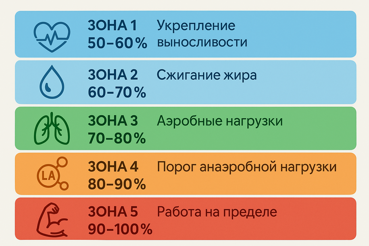 Инфографика: зоны сердечного пульса.
