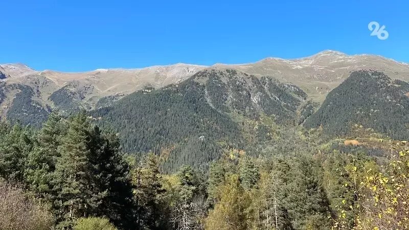      Фото: Валерия Алтухова / / ИА «Победа26»