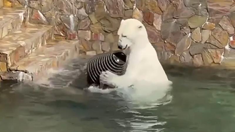    Фото: пресс-служба Ленинградского зоопарка