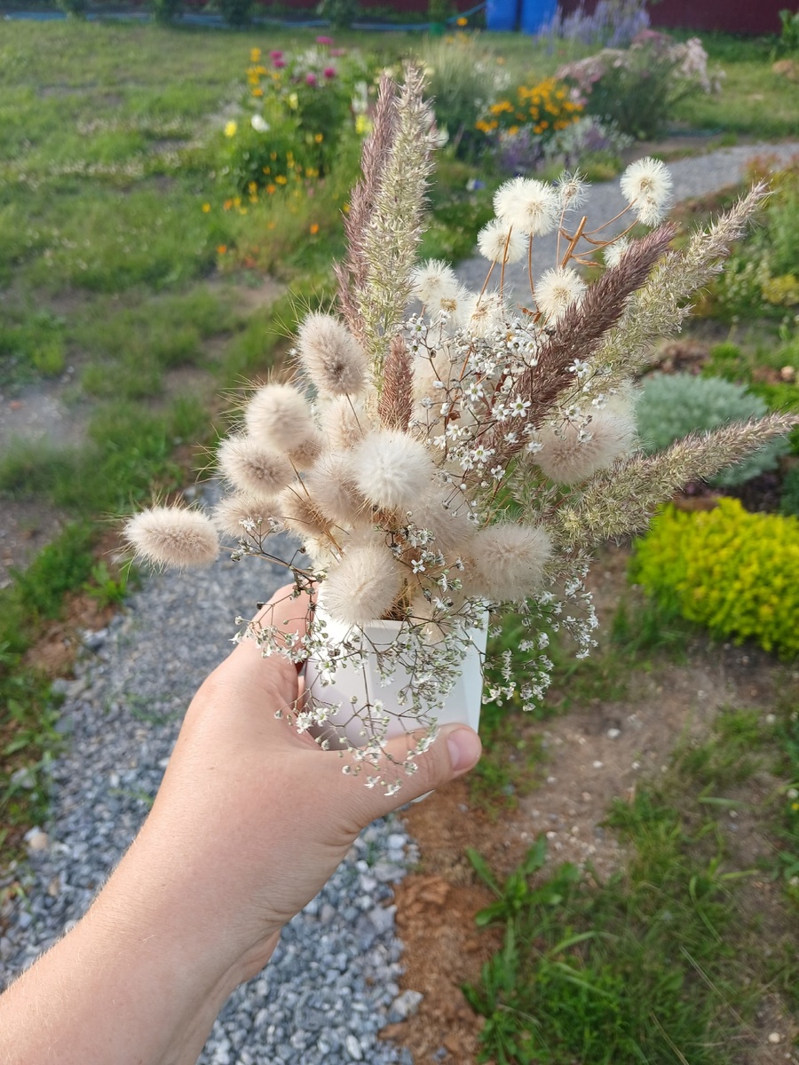 Букет из сухоцветов, включая гипсофилу, для декора кое-чего интересного