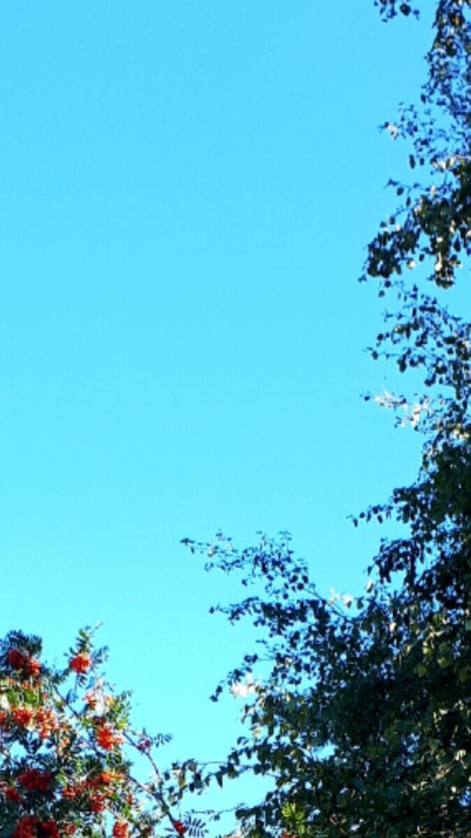 Фото автора статьи август 2025г.