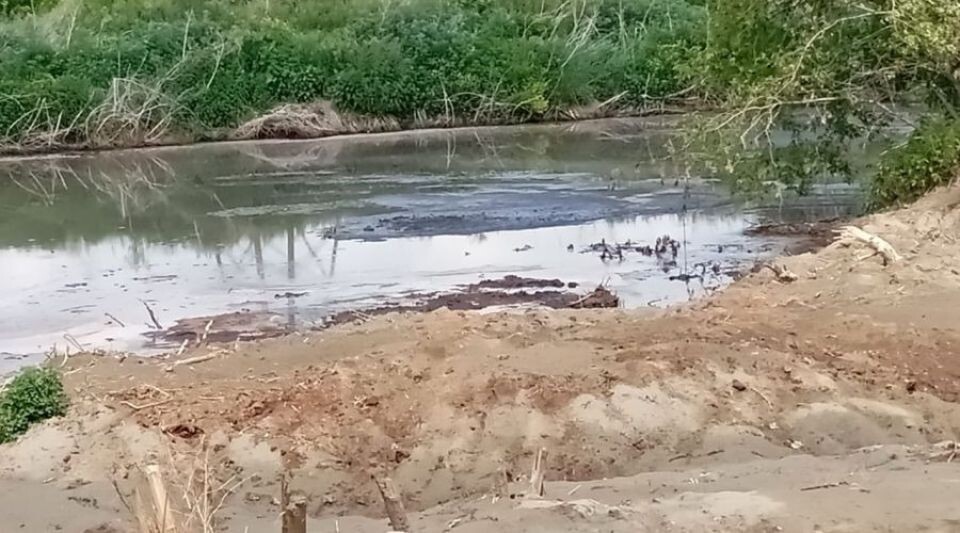    Поля фильтрации в Первомайском районе. Источник: Альбина Агальцова, bankfax.ru