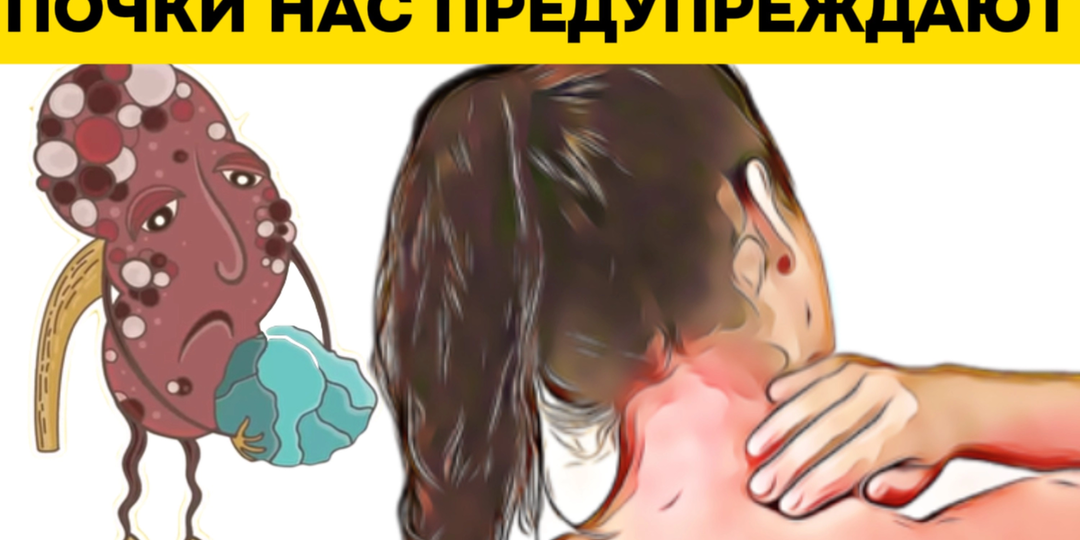 12 тревожных сигналов, которые подают ваши почки