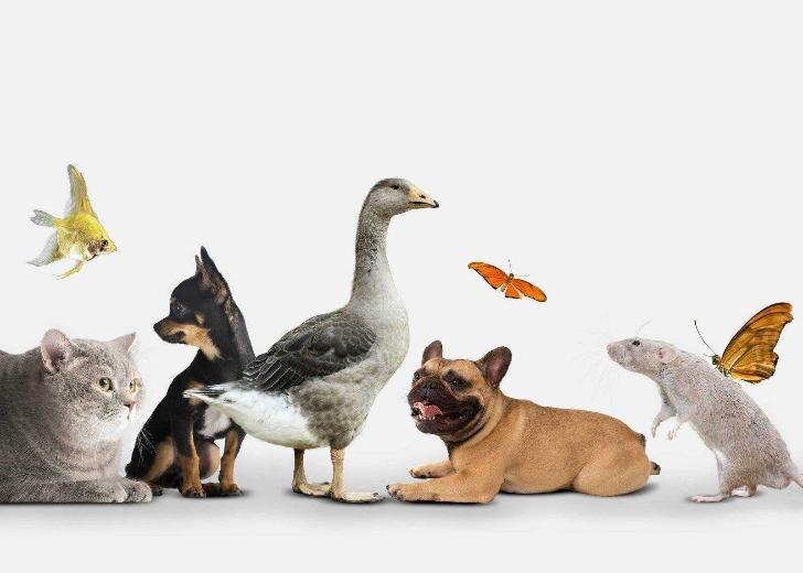    Фото: freepik.com