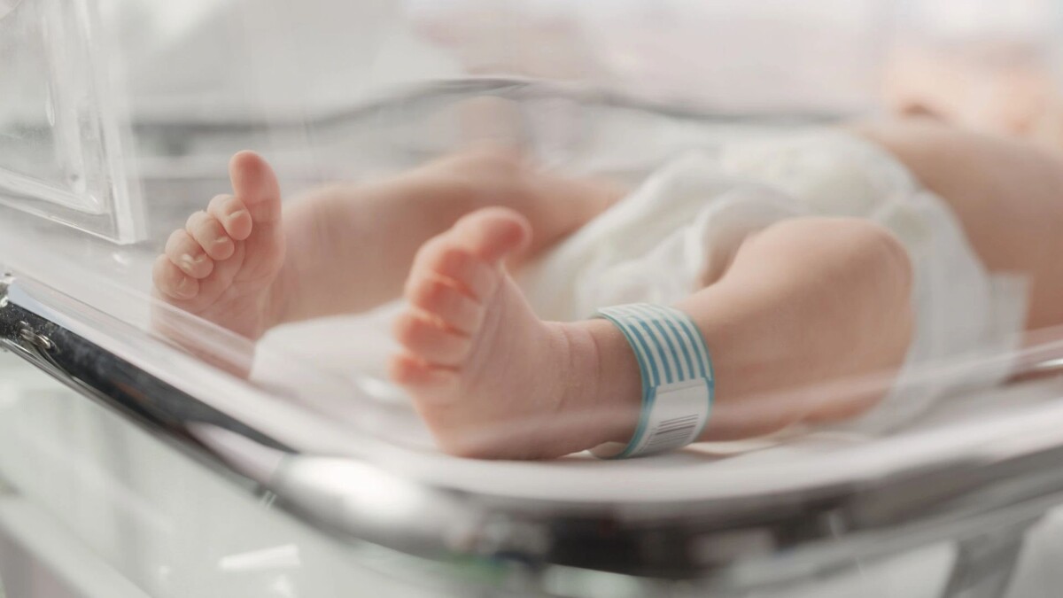    Фото: Gorodenkoff/Shutterstock/Fotodom