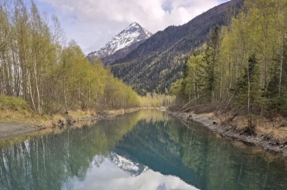    Природа на Аляске.