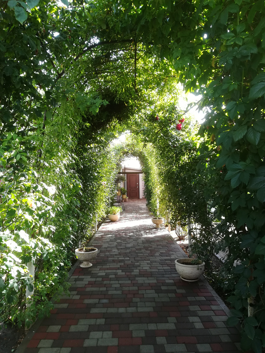 Особенно хорошо, когда плитку польешь. 