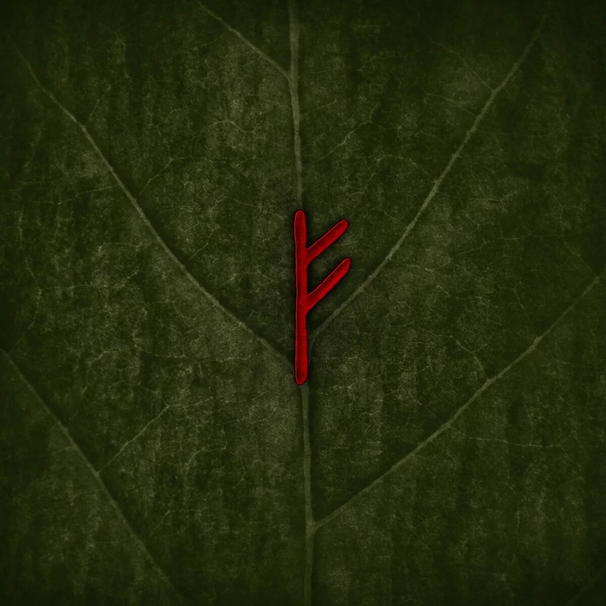 взято из интернета