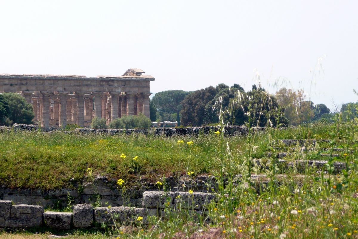 Руины Пестума