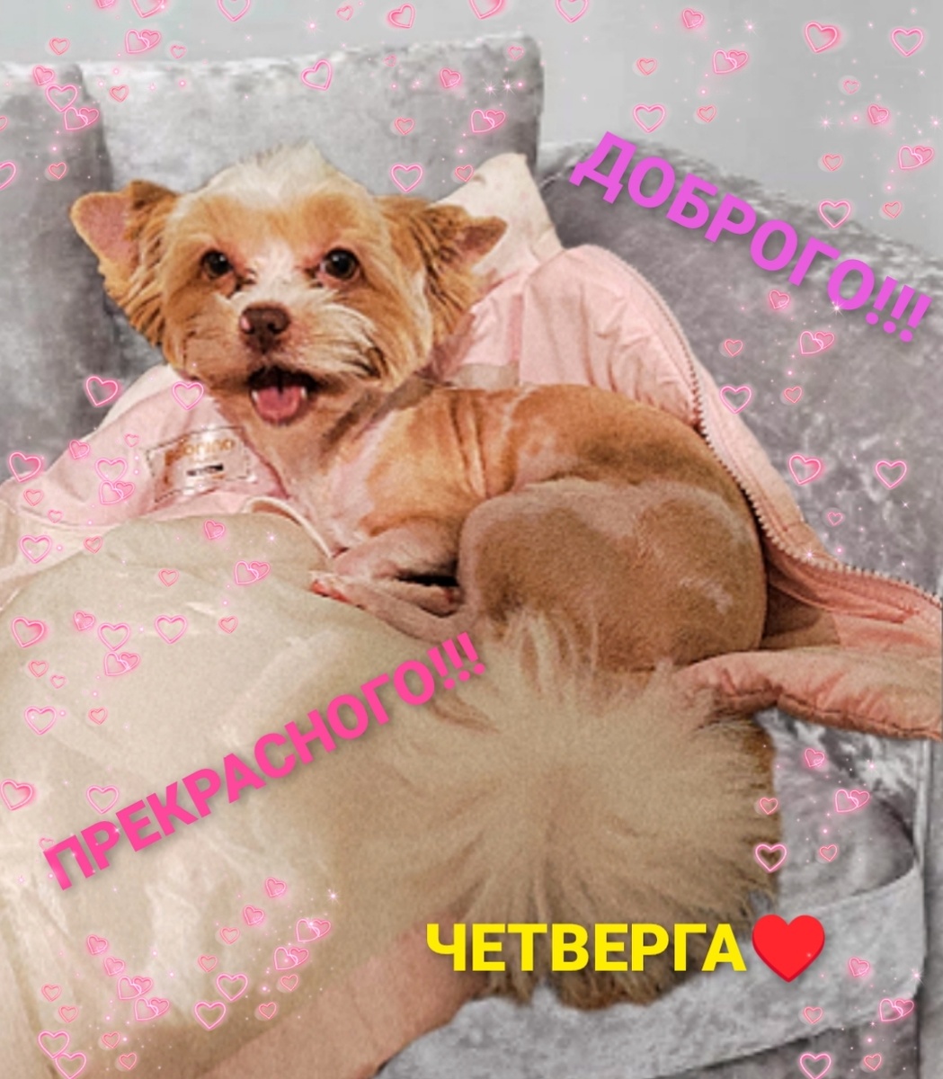 Фото-эксперимент автора 😁