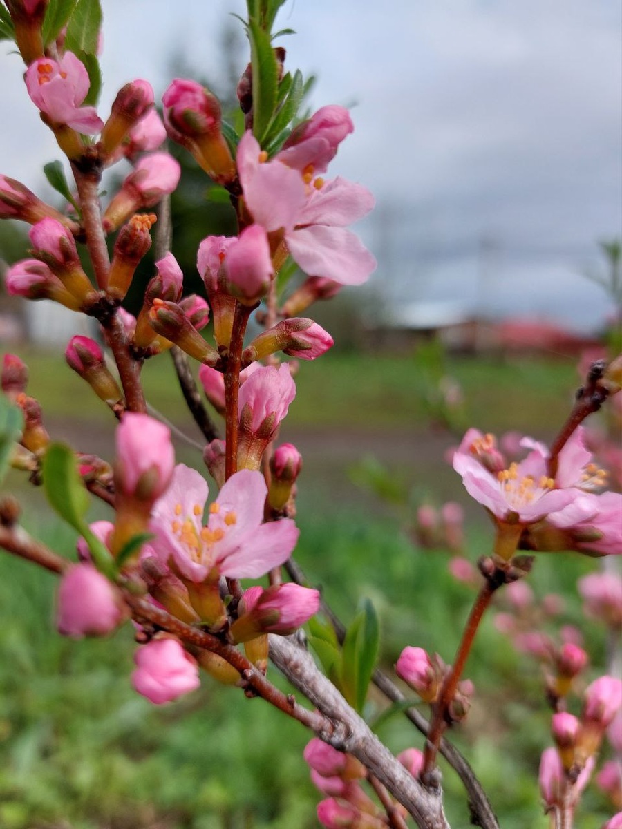 Автор фото: Наумова Александра