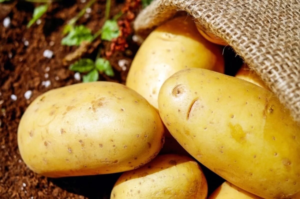    Британцам посоветовали натирать машины картофелем из-за проливных дождей