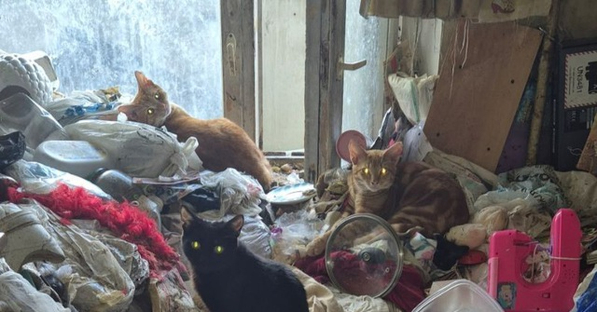 Источник: открытый интернет  