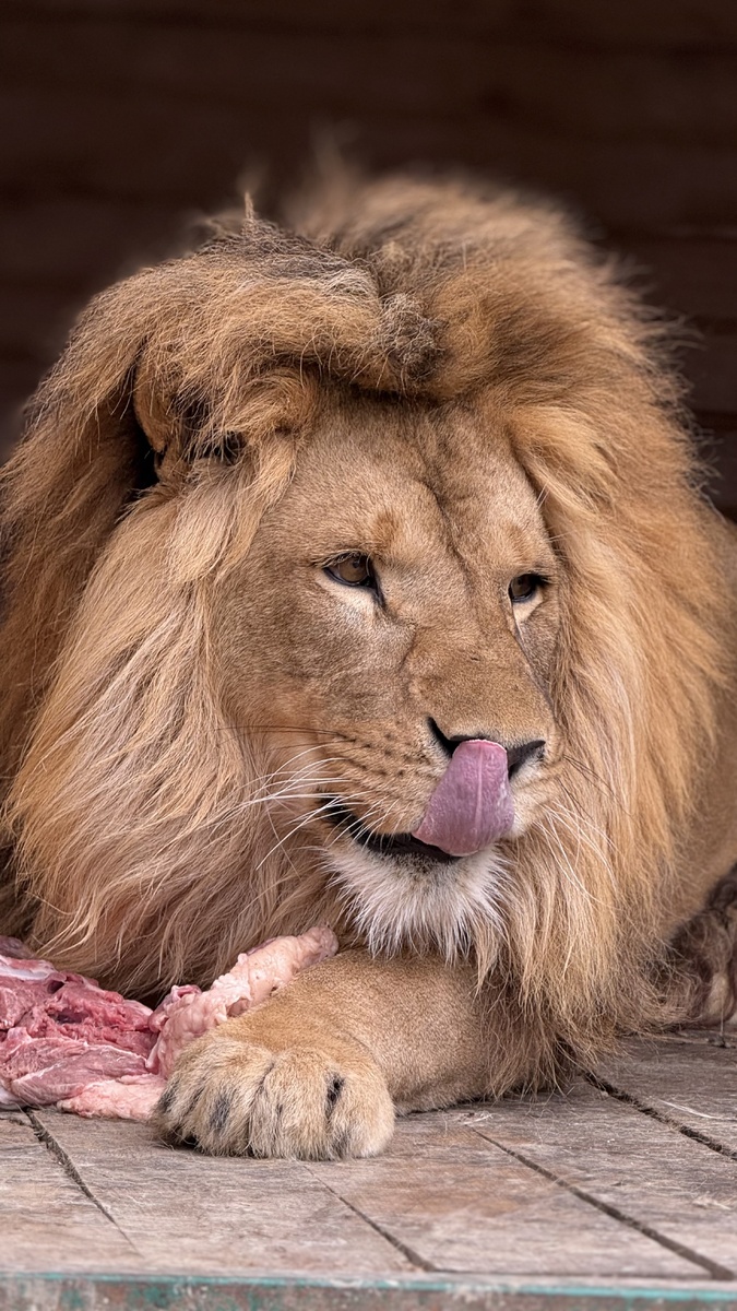 Вечерний Шираз. Ужин 