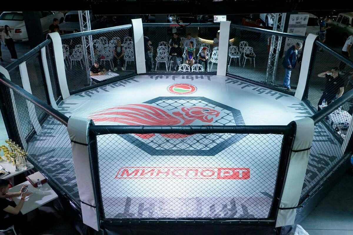 Фото: Международная профессиональная бойцовская лига «Татфайт»