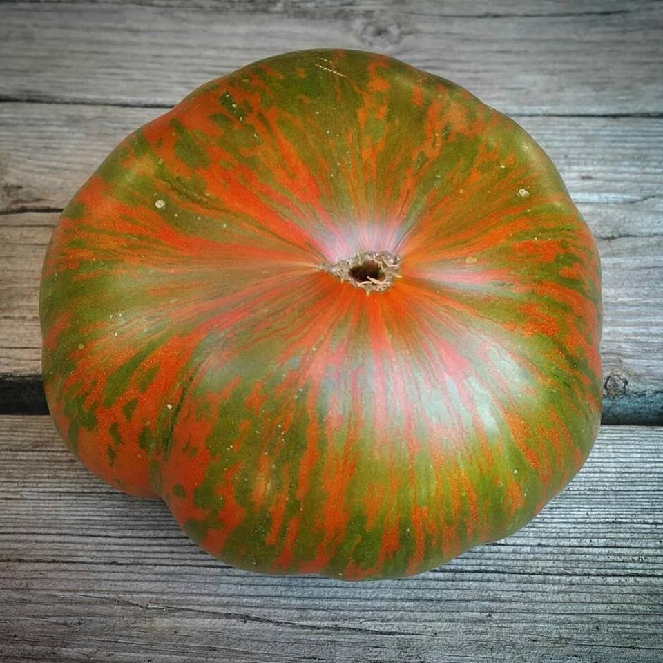 Томат «Girl Girl's Weird Thing»