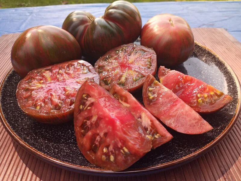 Томат «Girl Girl's Weird Thing»