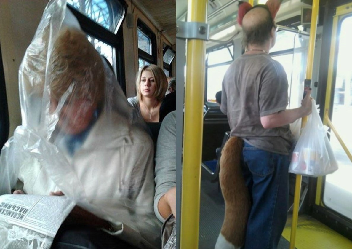 Источник Янднекс.фото