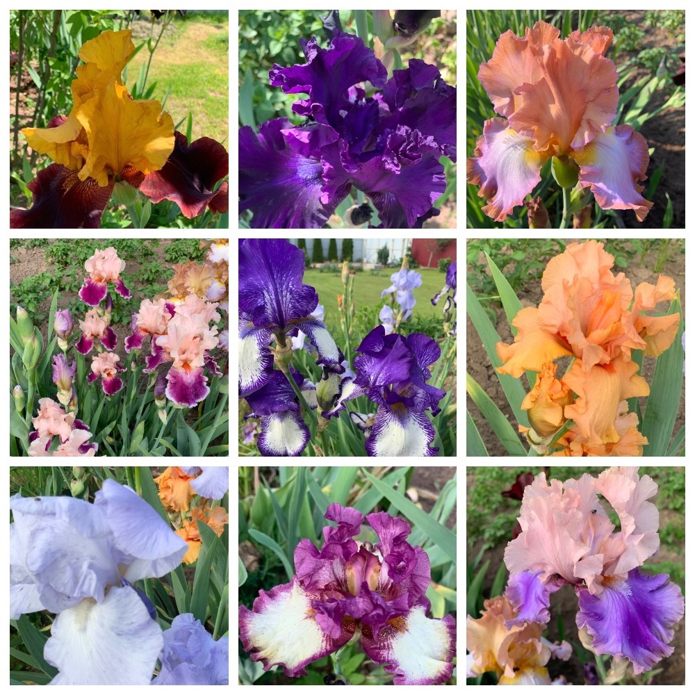 Вот как разобраться?