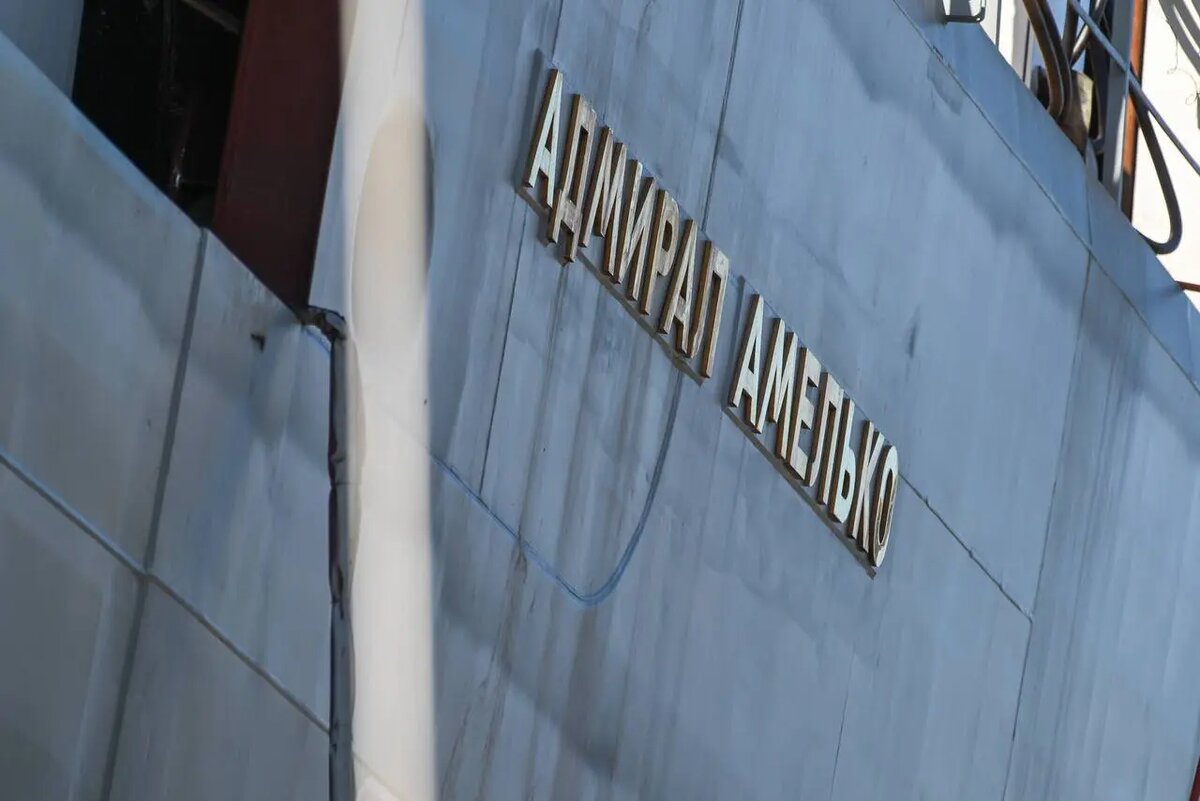    Фото: телеграм-канал вице-губернатора Петербурга Кирилла Полякова