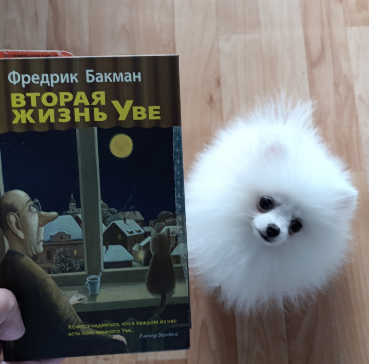 Сегодня роман, в одночасье сделавший Бакмана звездой первой величины в мировой литературе, представляет Бэлла. 