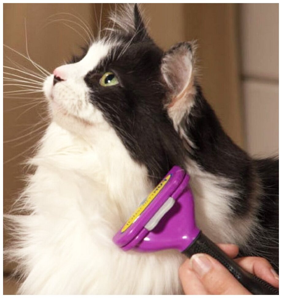 Фото из Интернета.