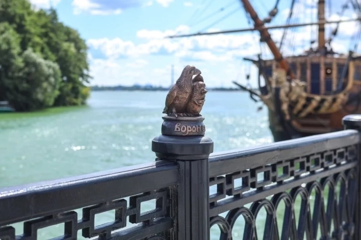    «Ворон и ёж» поселились на Петровской набережной в Воронеже