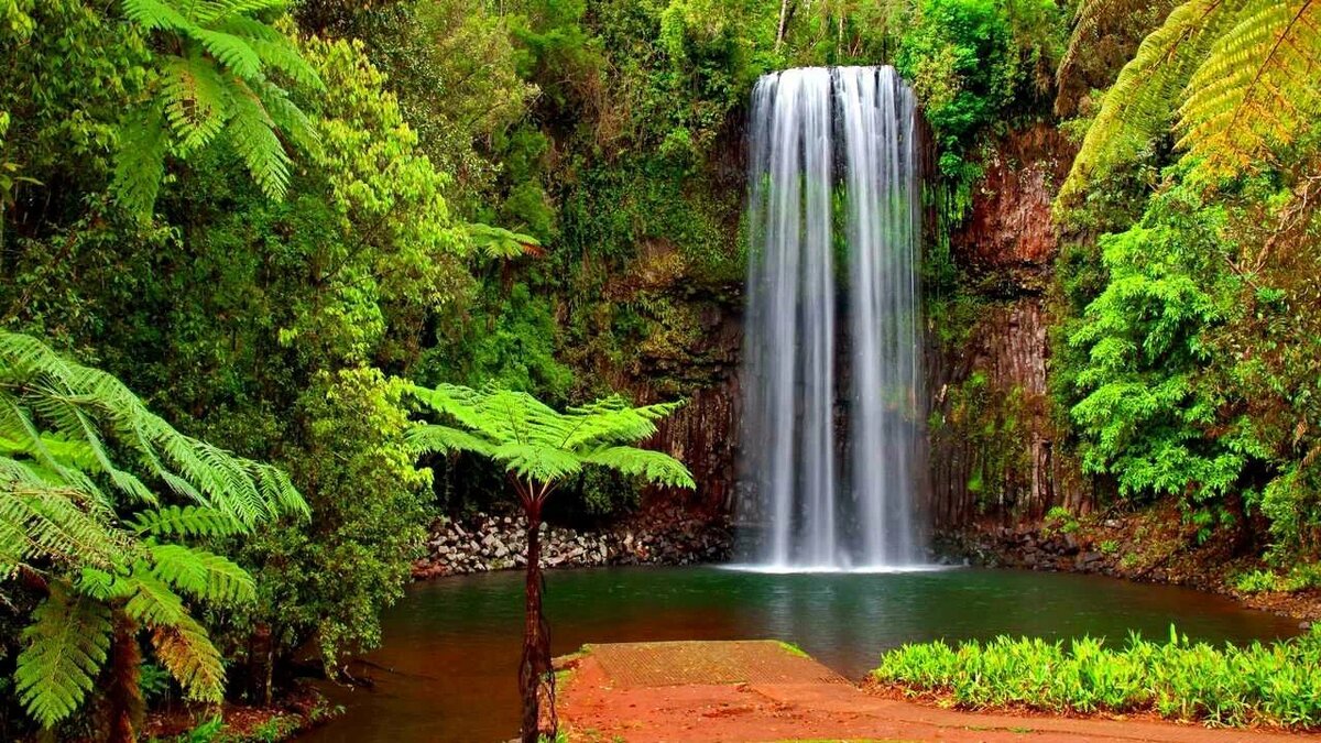 картинка взята из интернета