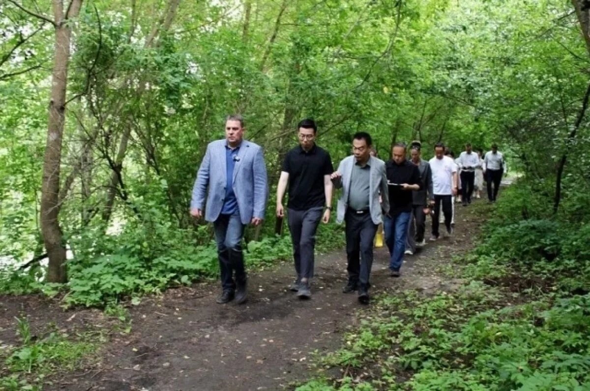    Сады завтра.