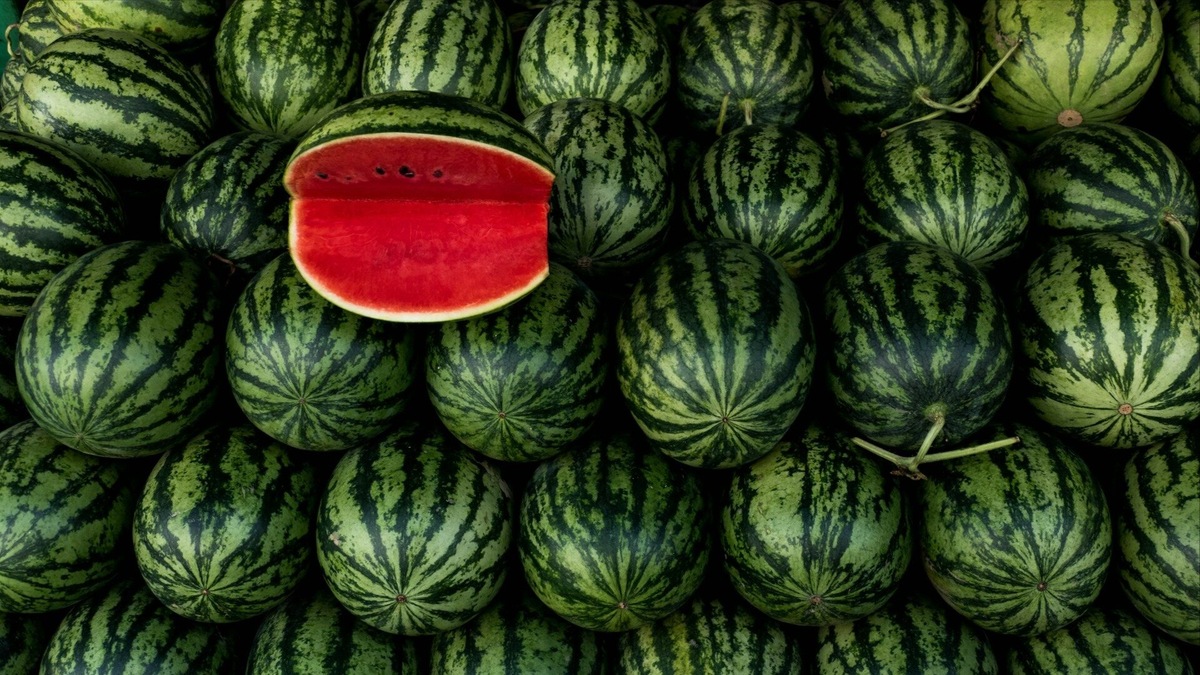 Фото: Crina-Miriam Cretu / Unsplash