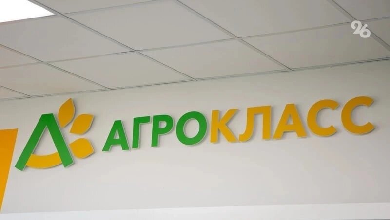      Фото: Валерия Алтухова / / ИА «Победа26»