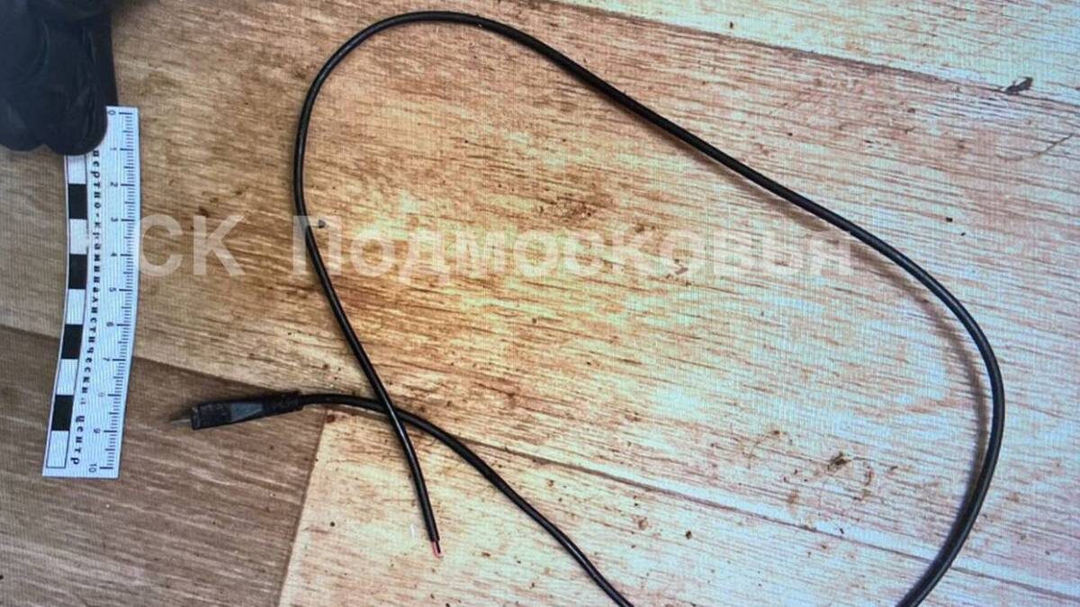    Фото: пресс-служба Следственного комитета России по Московской области