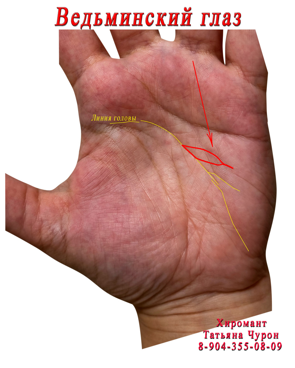 Фото из личного архива 