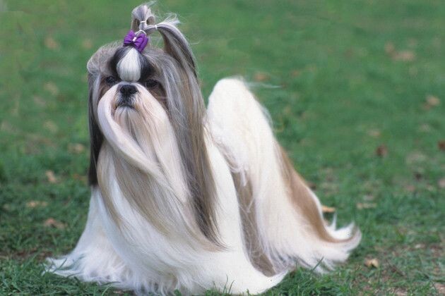 источник фото: https://i.pinimg.com/736x/37/c9/3f/37c93f6191fc80880c3098e7862dd78c.jpg