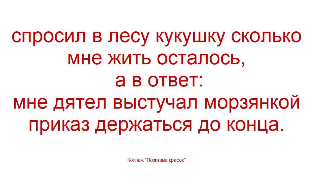 коллаж от &amp;quot;Позитива красок&amp;quot;