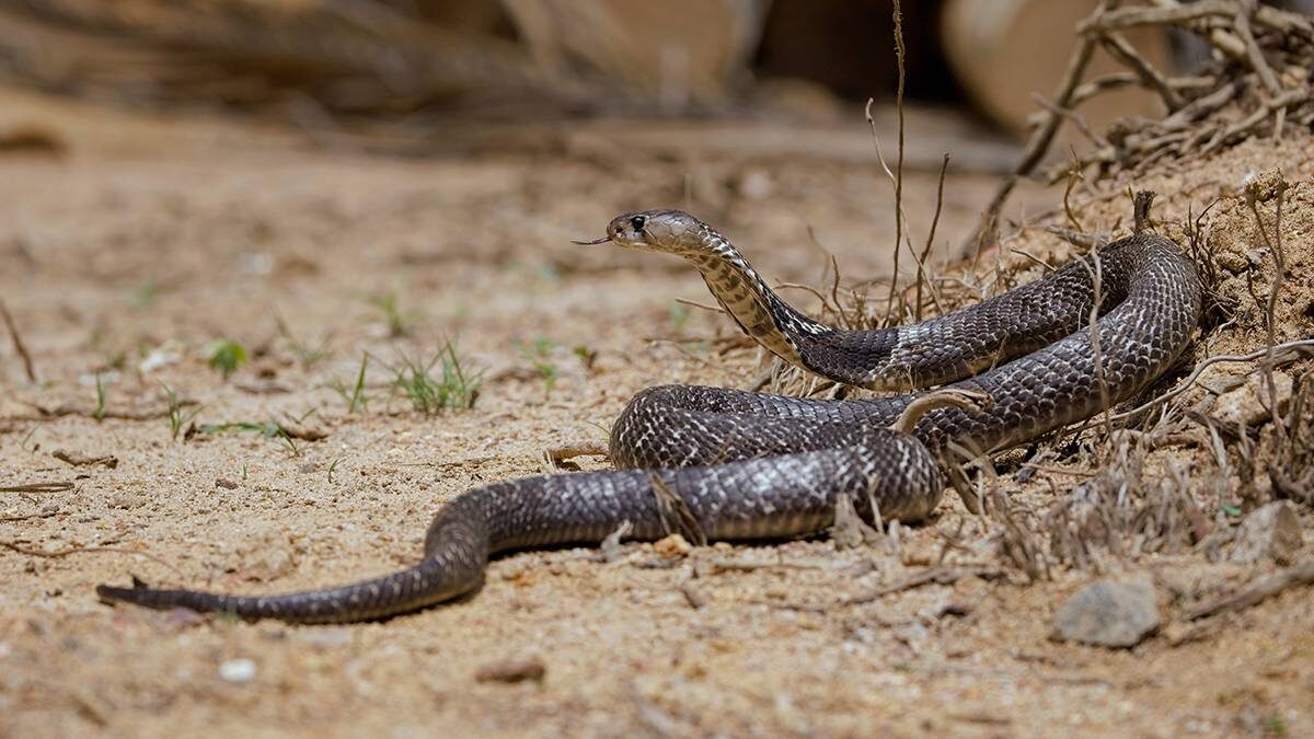    Фото: Shutterstock