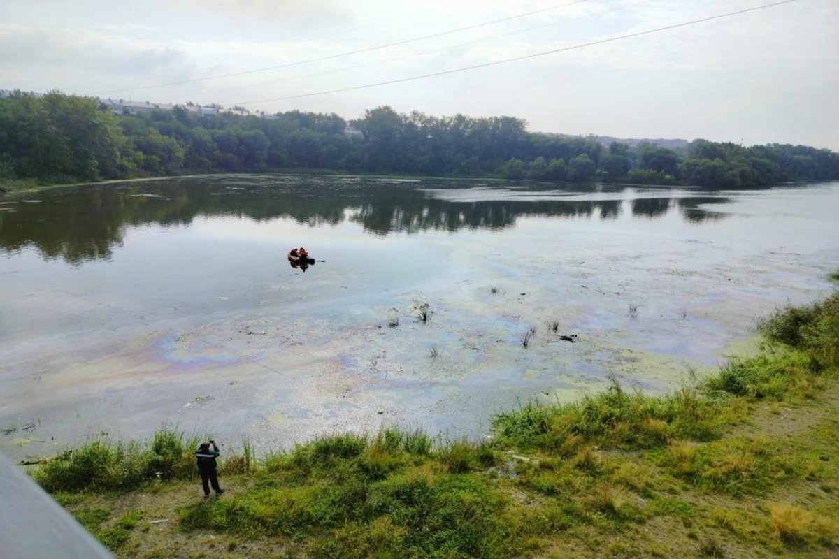    Фото: Росприроднадзор, источник: rpn.gov.ru