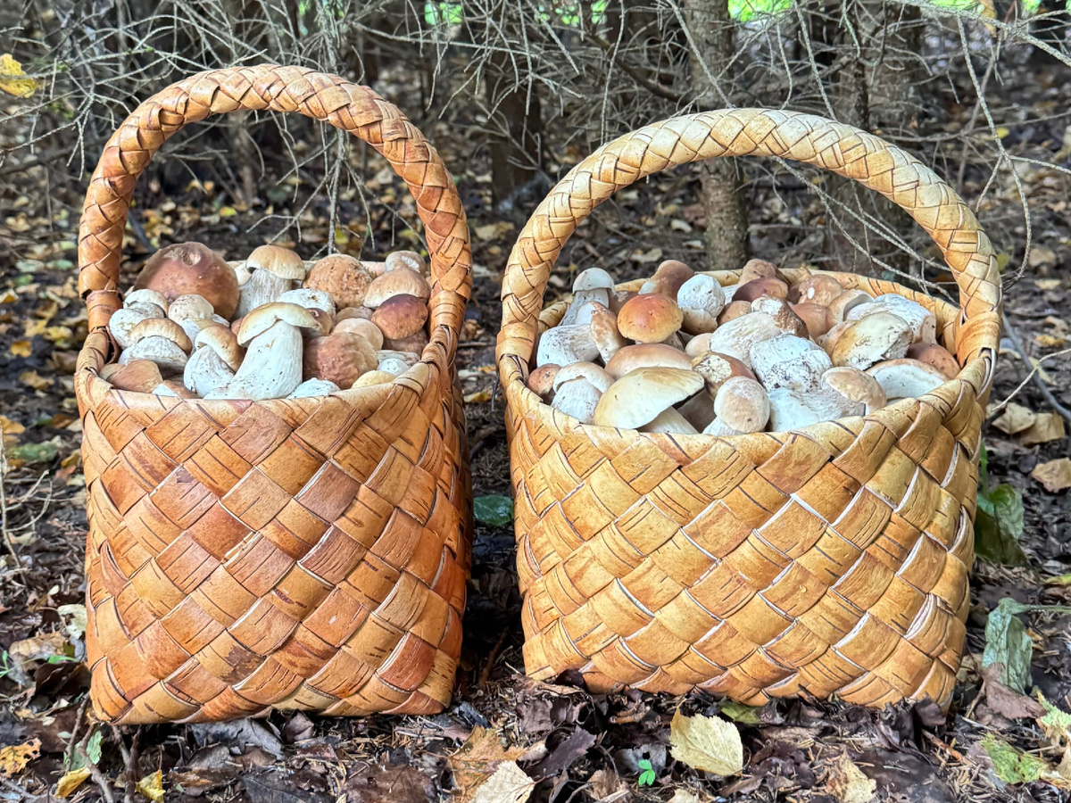 Фото Екатерины Полянцевой