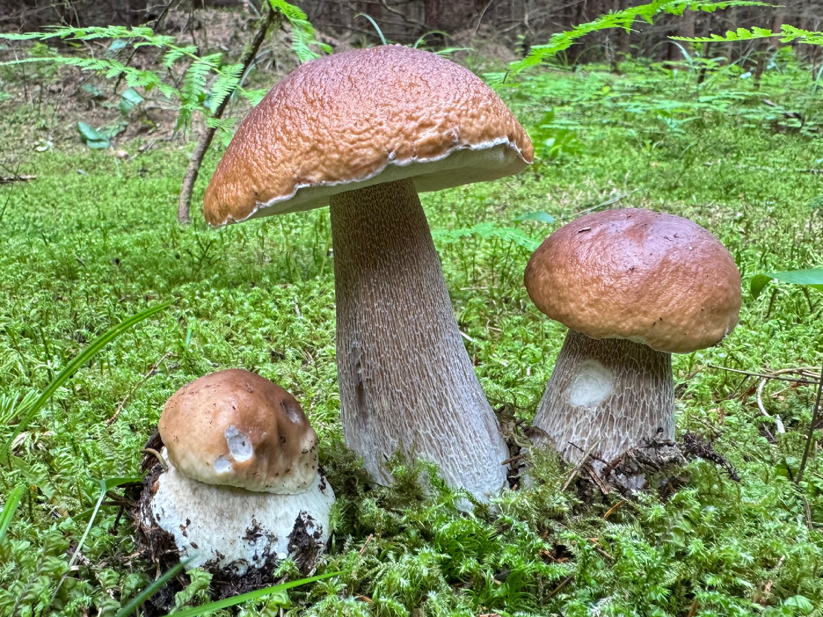 Фото Екатерины Полянцевой