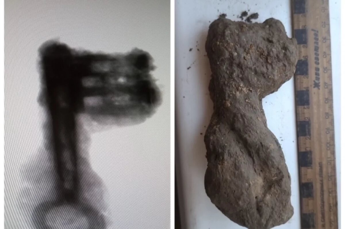    Археологи исследовали находки из раскопа у СмолГУ