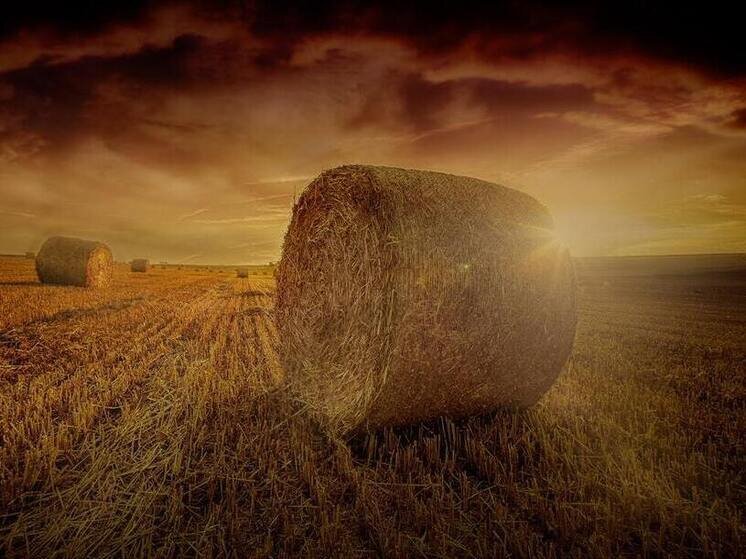     Фото: Luca, Unsplash