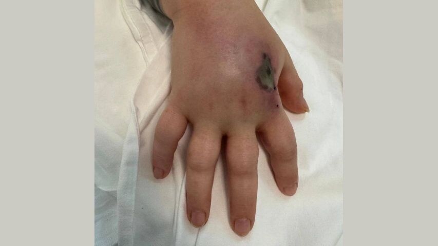    Фото: t.me/dzdmos