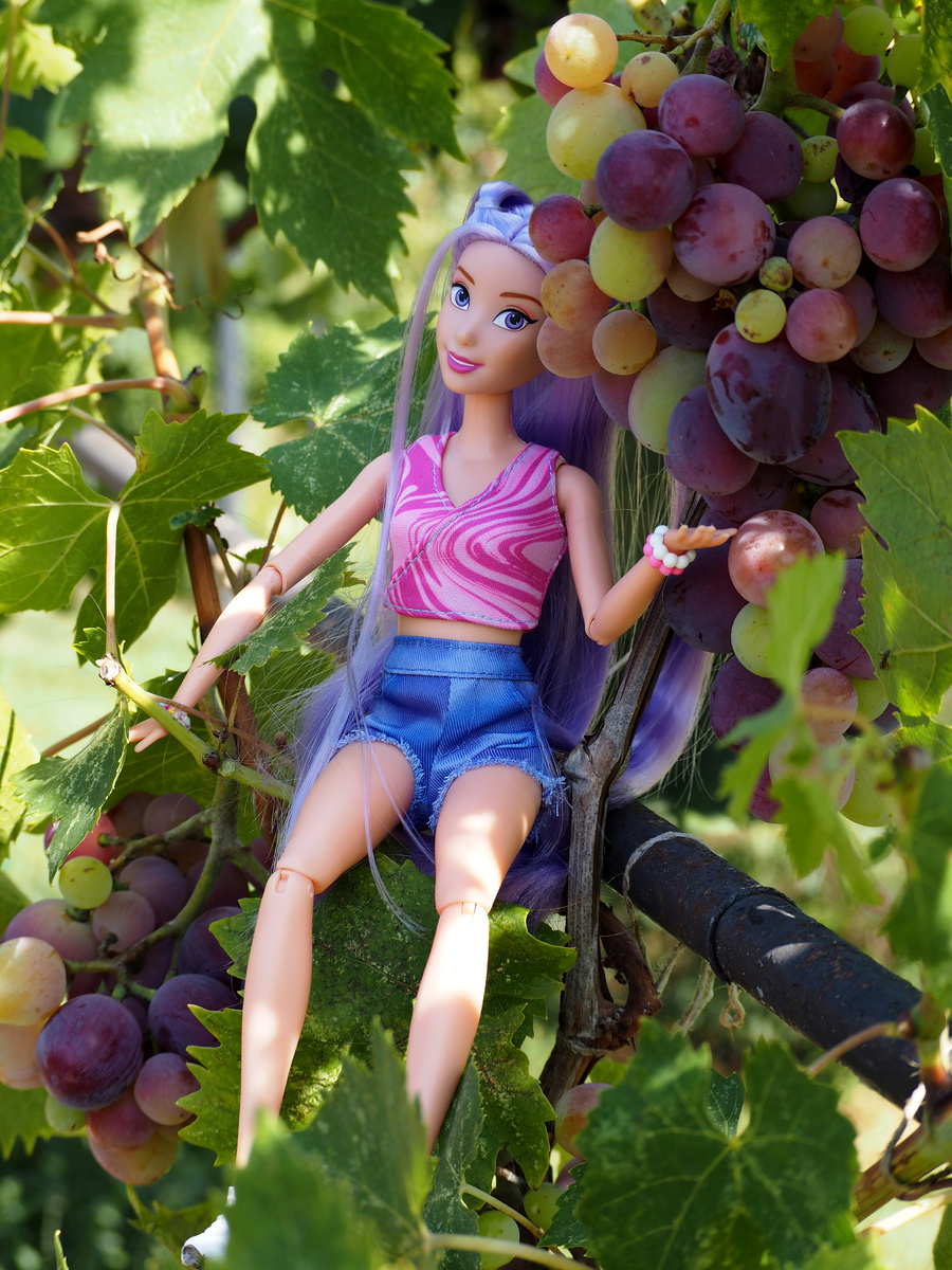 Аврора проверяет урожай винограда 🍇.