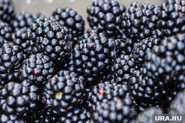  На тюменском рынке обнаружились «золотые» ягоды за 6 500 рублей. Скрин  📷
