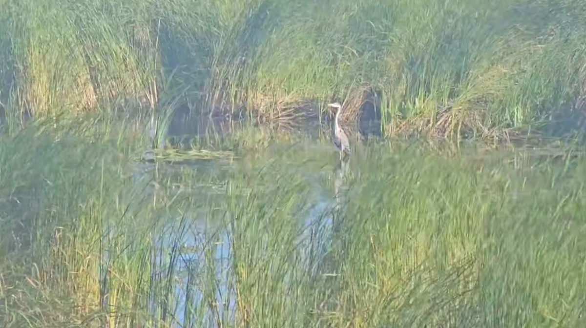 Фото: Pr Scr telegram.org / Официальный канал ФКП "Дирекция КЗС г. СПб Минстроя России" (Дамба Санкт-Петербурга)