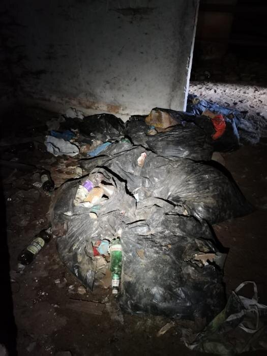 Кишат трупами и блохами: управляйка довела подвалы в переулке Машинистов до полной антисанитарии
Фото: Псковские тепловые сети