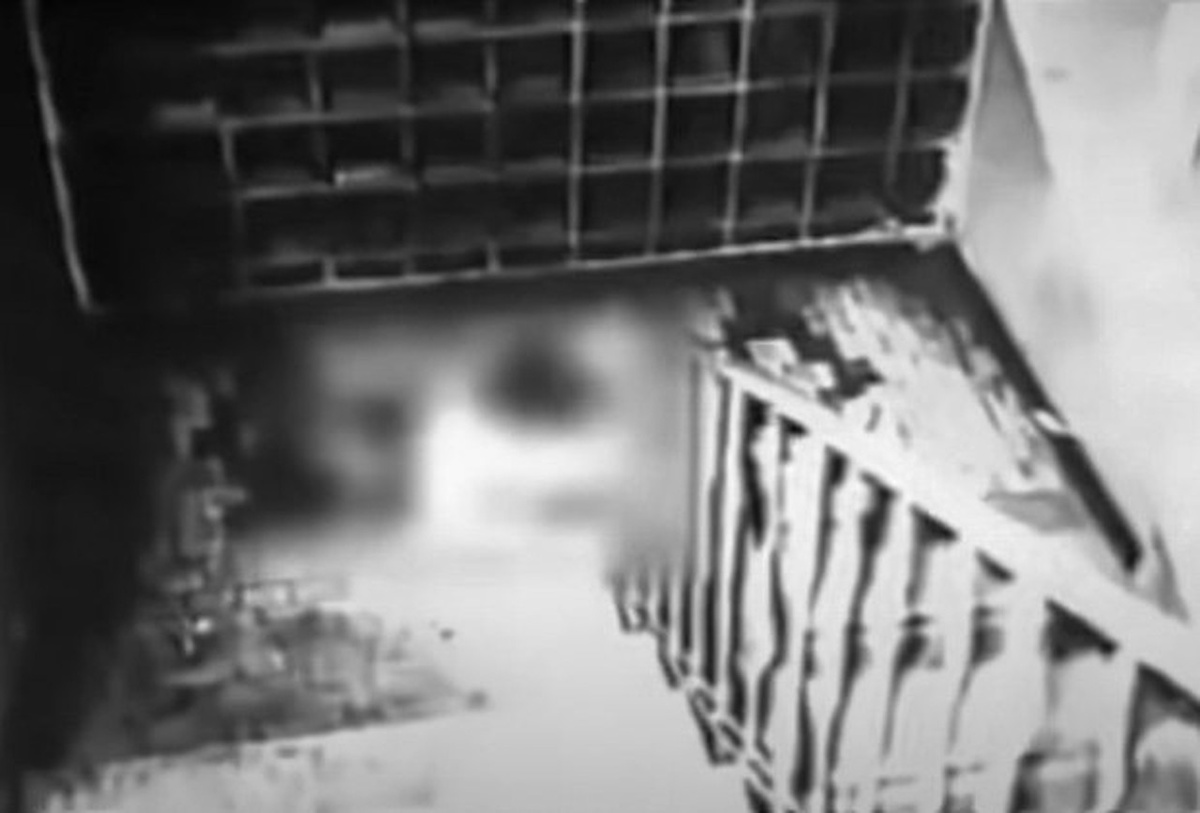 Фото © YouTube / Летопись злодеяний человека